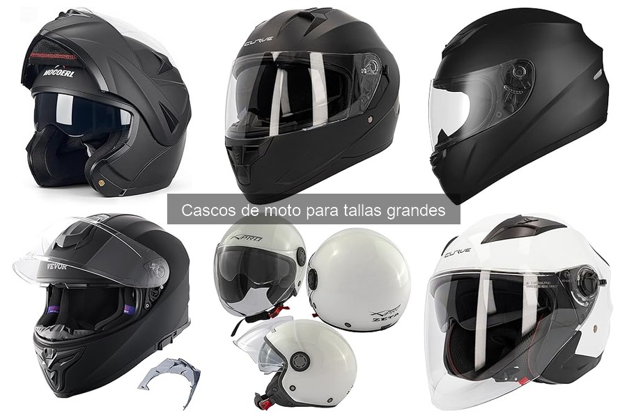 Comparativa de Cascos de Moto Grandes: Económicos vs. Premium